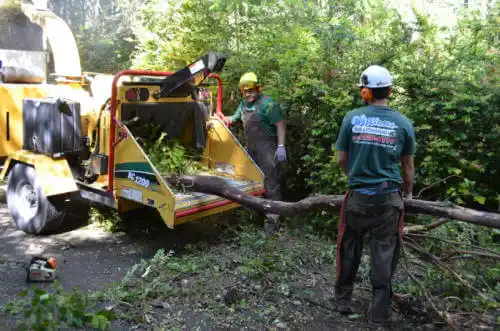 tree services Harvard